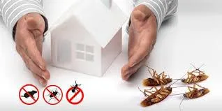Pre-Construction Pest Control Service
