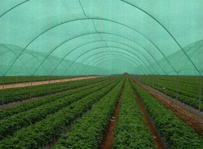 Shade net in Kolkata