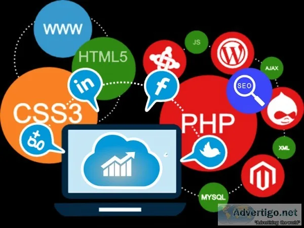 Best Seo Service Provider In Delhi