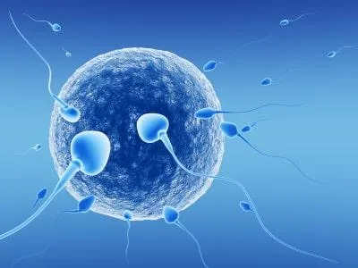 IVF Doctor in Tolichowki &ndash IVF centre in Tolichowki Hyderab