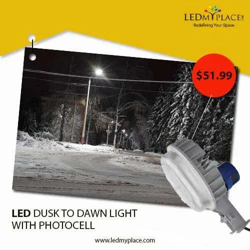 Get the Best Deal on LED Yard Light at LEDMyplace
