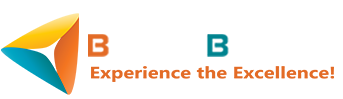 Web Application Development Company India-Buzzybrains