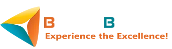 Web Application Development Company India-Buzzybrains
