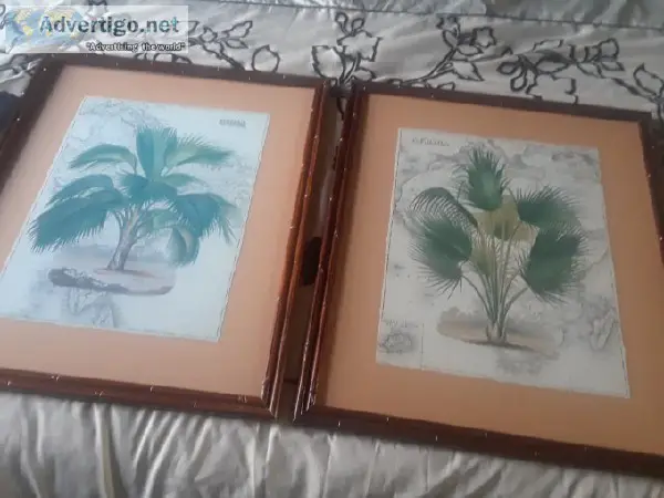 Pair (2) Paml Tree Wall Art with Bamboo Frame