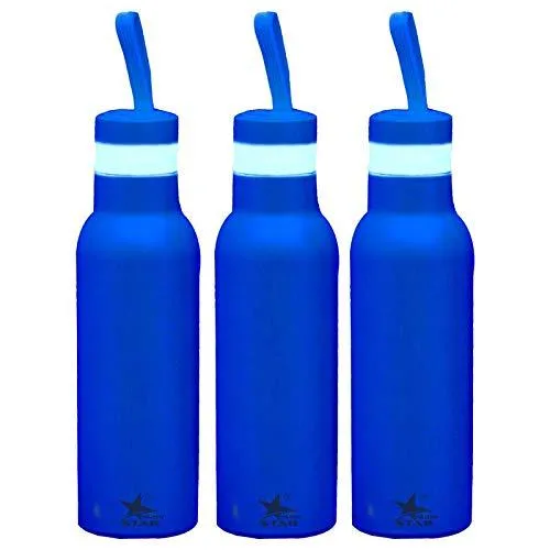 Stainless Steel Water Bottle (Blue) Set of 3