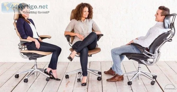 Ergonomic Executive Chair with Headrest  Humanscale