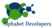 Alphabet Developers LLP - IT and Digital Marketing Solutions in 