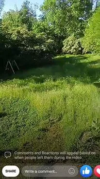 Pals of Beauty (lawn care service)
