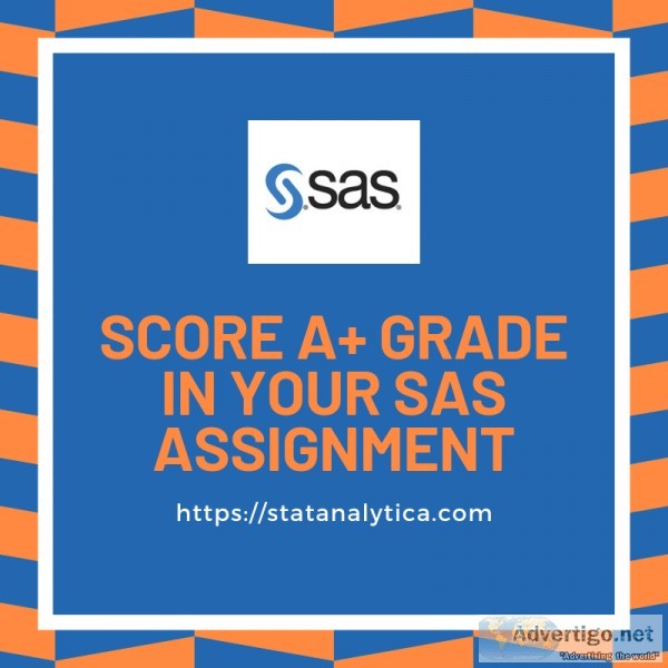 Pocket Friendly SAS Assignment Help for Students