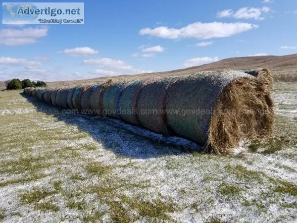 150 Round Hay Bales
