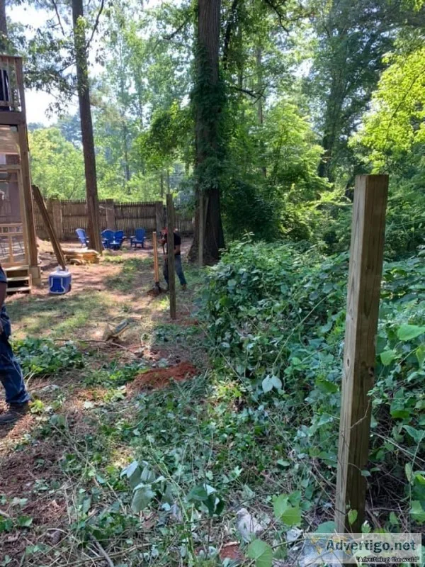 IVY Removal Services in Atlanta