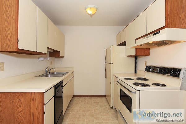1010  2br - 1000ft2 - 2 Bedroom Apartment  Maple Model 280-203  