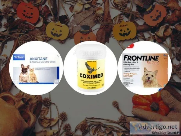 Halloween Budget Pet World Coupons Shop and Save
