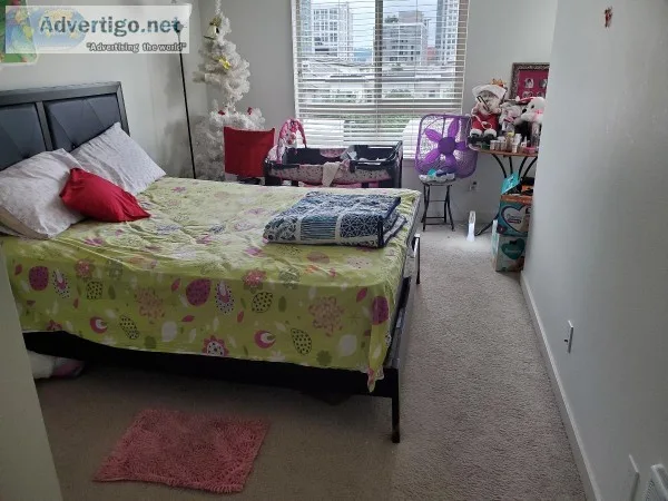 6th Floor Apartment In Downtown Bellevue(0 deposit 0 admin feeup