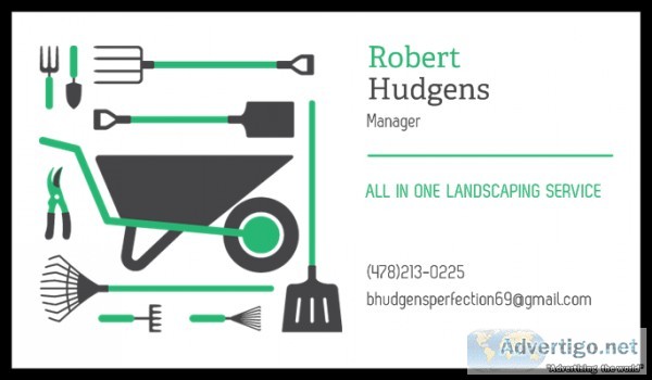 ALL IN ONE LANDSCAPINGDESIGNS ODTREECLEANUP SERVICE 1