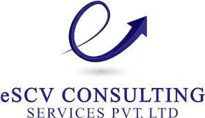 Virtual CFO Services