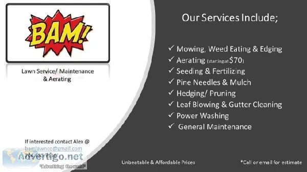 BAM Lawn Care and Maintenance
