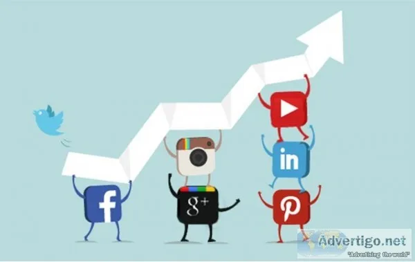 Best Social Media Marketing Company India