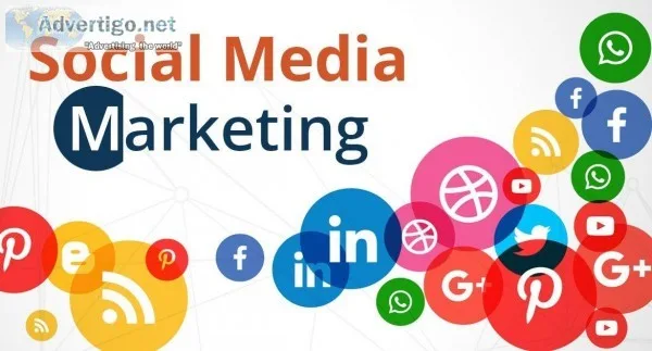 Best Development Advertising Organizations