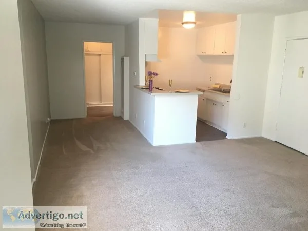 APARTMENT FOR RENT
