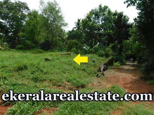 House Plot Price 2 Lakhs per cent For Sale at Poonkulam