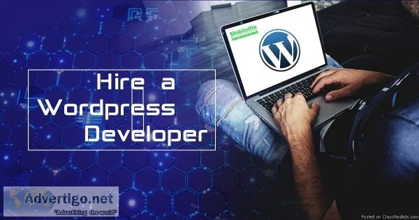 Hire a WordPress Developer