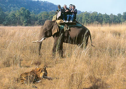 Birds And Wildlife Tour &ndash Assam And North Bengal