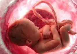 Infertility Center in Hyderabad