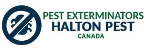 Cockroach Extermination In Oakville