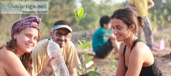Organizing Service Trips for Young Adults