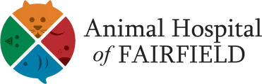 Cat hospital services NJ