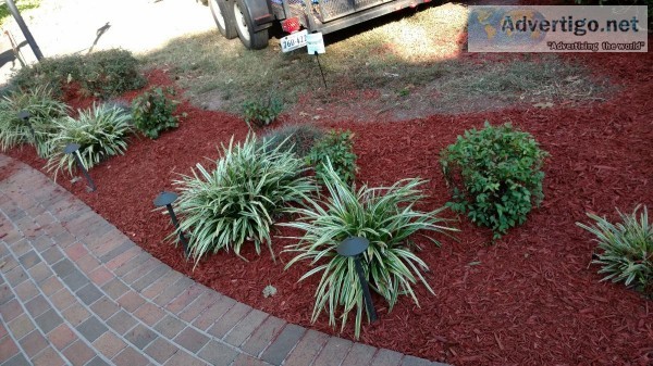 Anything Landscaping
