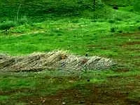 plot for sale-Mumbai South