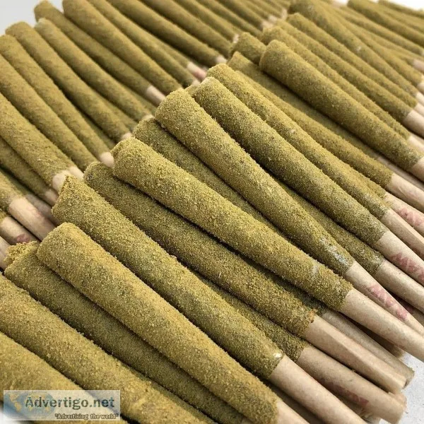 buy sativaindica