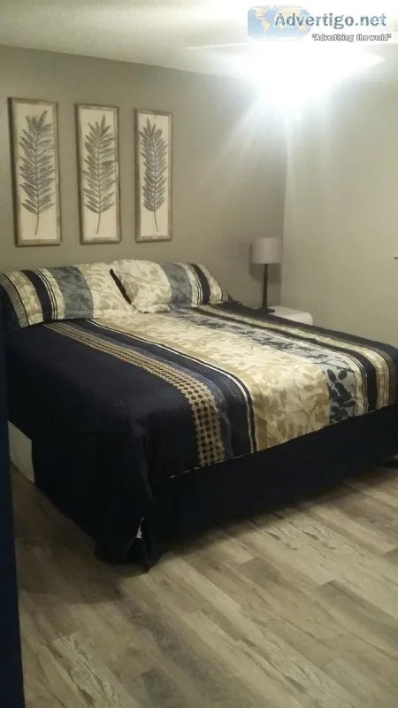 One story spacious villa for rent short term or annually