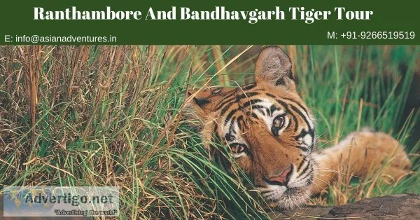 wildlife and birding tours