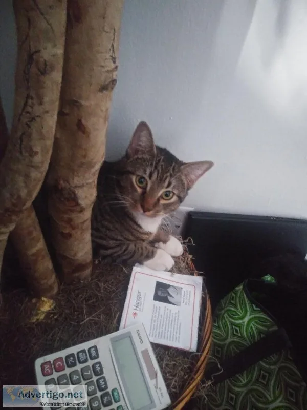 New a Loving Home