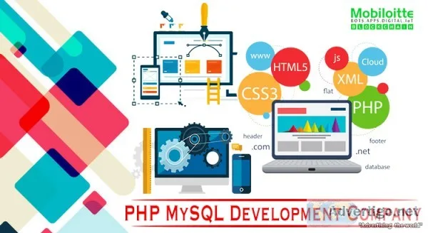 PHP MySQL Development Services