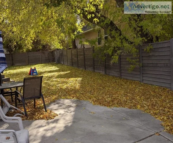 LEAF and FALL CLEAN UP