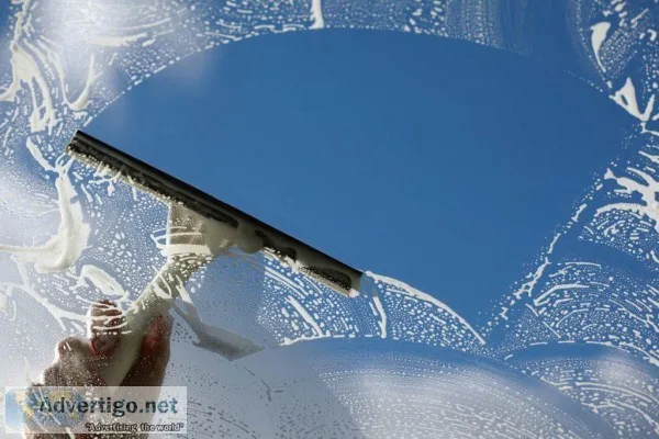 Window Cleaners in Tauranga