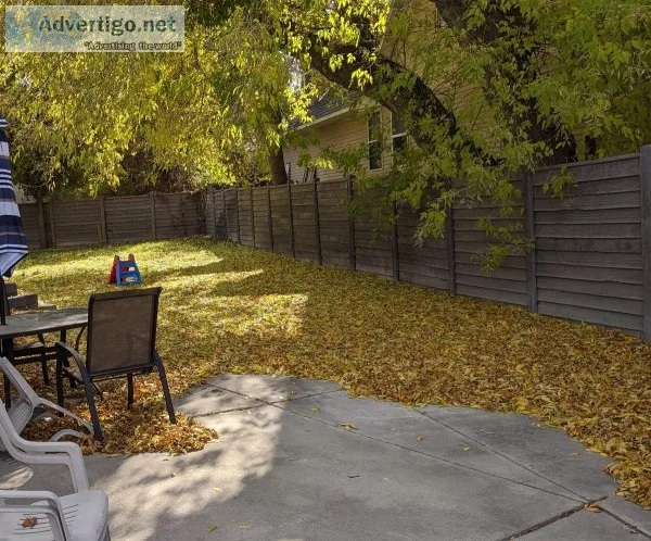 LEAF CLEAN UP