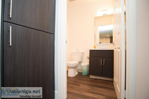 1 Bedroom 1 Bathroom in a 2 Bedroom 2 Bathroom Apartment