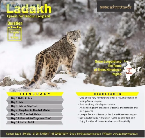 snow leopards tour