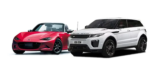 Rental Cars