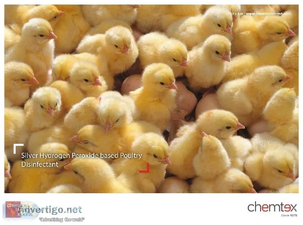 Silver Hydrogen Peroxide based Poultry Disinfectant