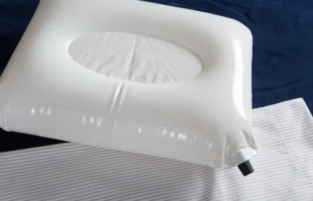 Goose Down Travel Pillow