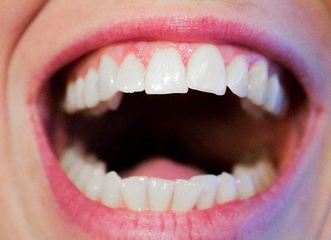 Reliable Dentist for Your Oral Care  Dentist Brandon