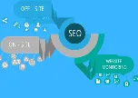 Hire Authoritative SEO Expert Service in the USA