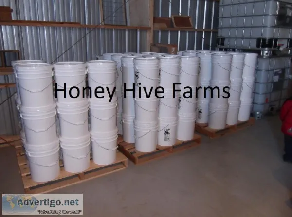 Honey Hive Farms Package bees Bulk Honey