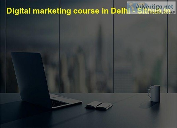 Top Website Designing Company in Delhi  Hedkey India